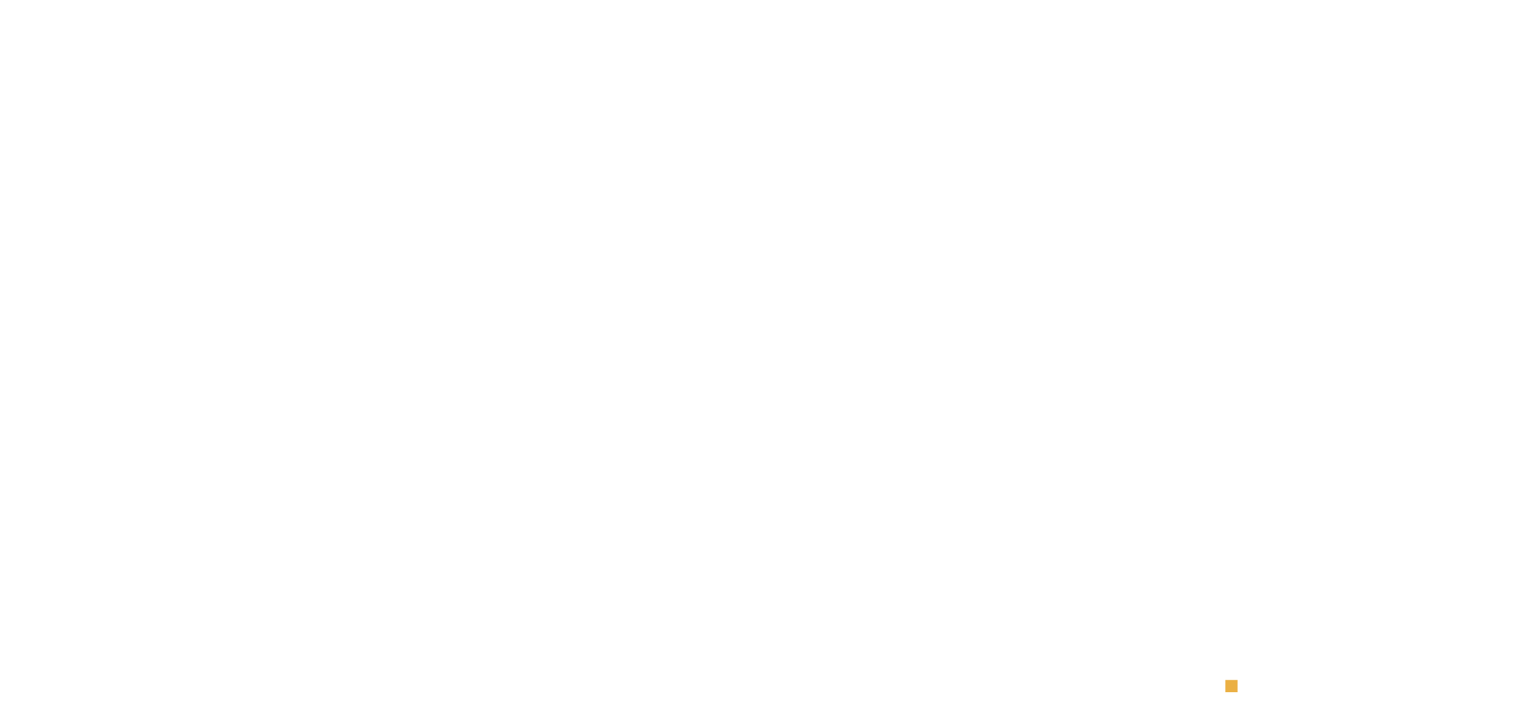 Agence Web SpeedTech